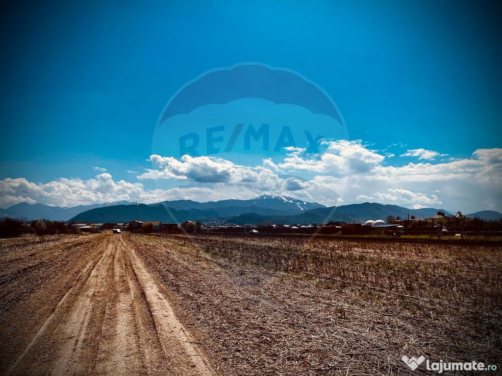 Teren Brasov -Strada Aron Pumnul, 5 loturi X 520 mp, impr...