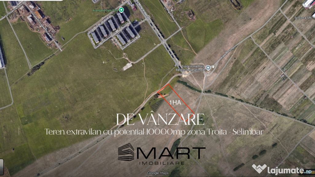 Teren extravilan 10000mp zona Mihai Viteazul - Avangarden