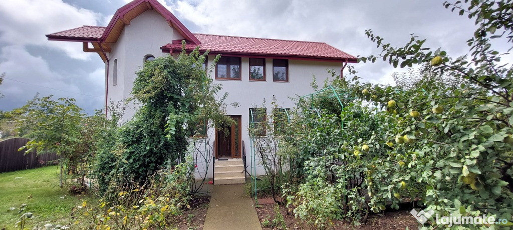 Vila individuala 5 camere,1070mp teren, Bucium - Visani Iasi