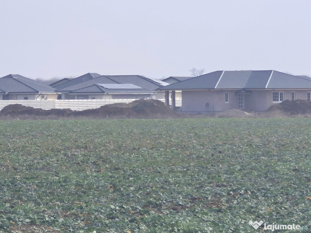 Teren intravilan Balotesti,langa ansamblul Terra si padure, 17000 euro
