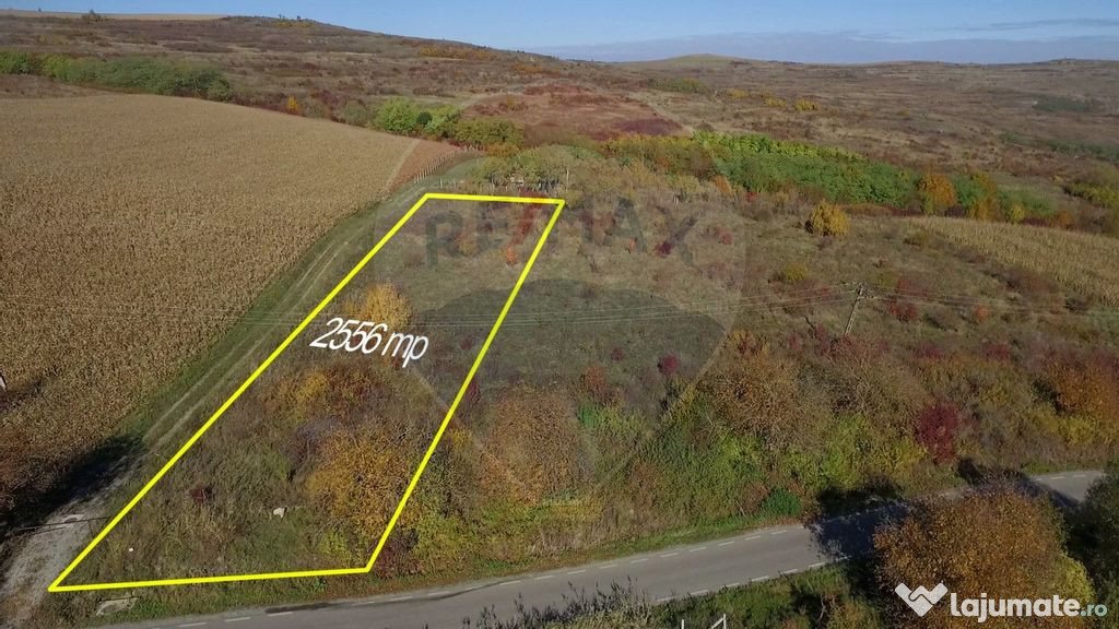 Teren Pădureni (Chinteni), intravilan, parcelabil