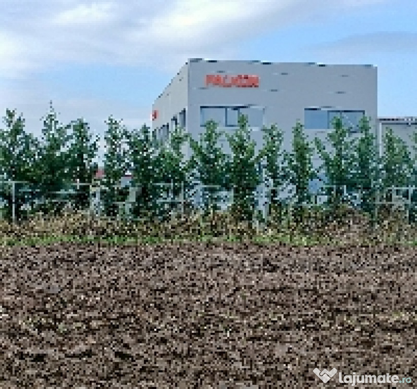 Teren 7700mp Lazuri, Satu-Mare