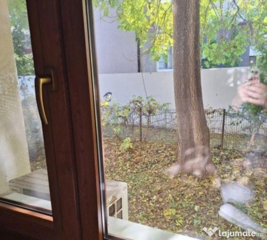 Decebal alba iulia parter baba novac