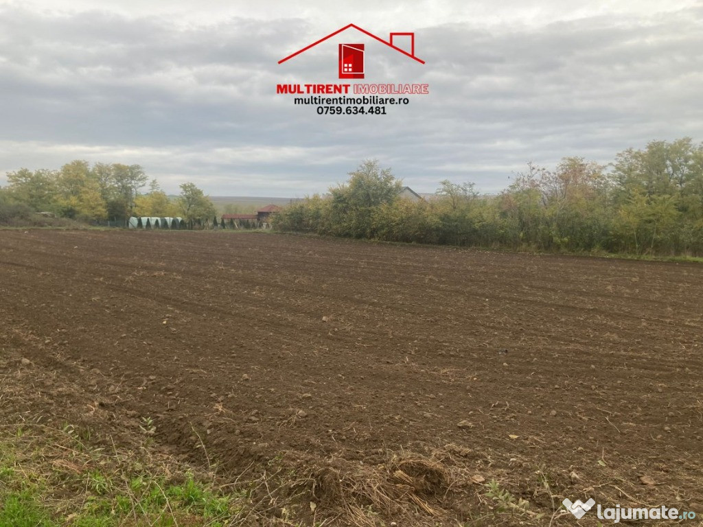 Teren cu casa de vanzare in Randunica (Mihail Kogalniceanu) Tulcea!