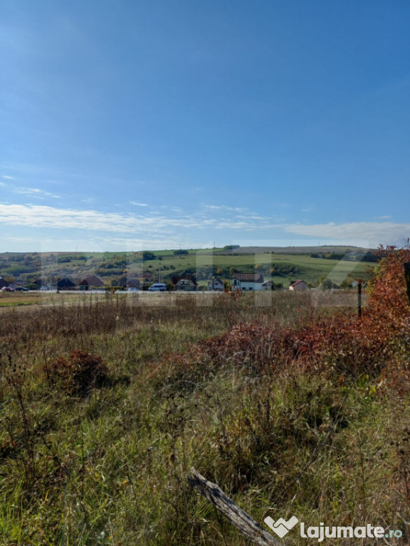 Teren intravilan 2877 mp, in Copaceni