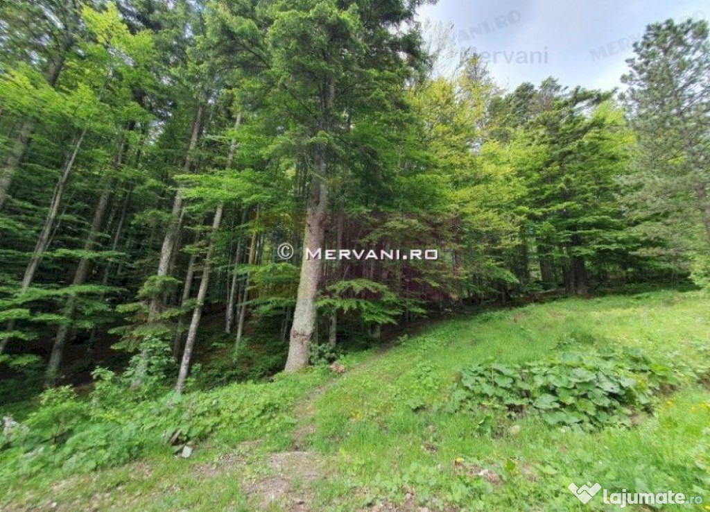 Teren intravilan de vanzare in Sinaia - Zona Furnica