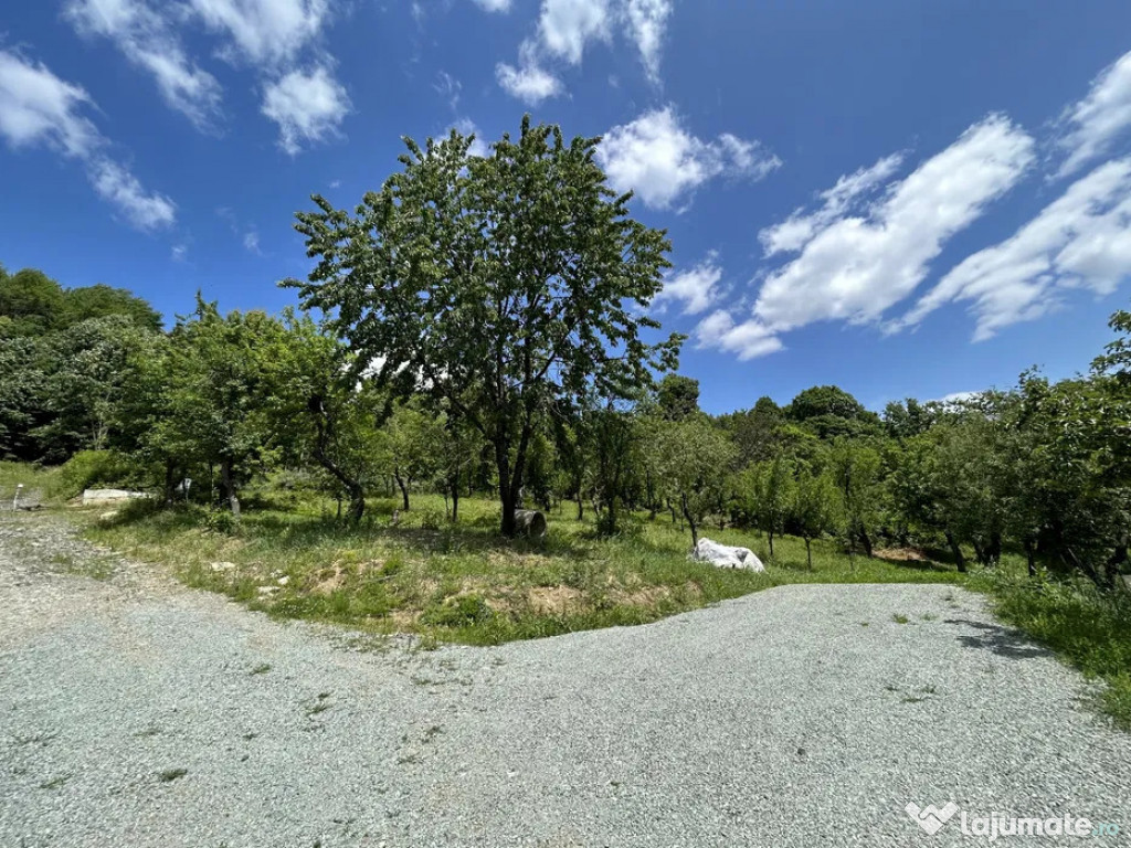 Parcelă de 8,86 ari – zonă de case pe deal, priveliște