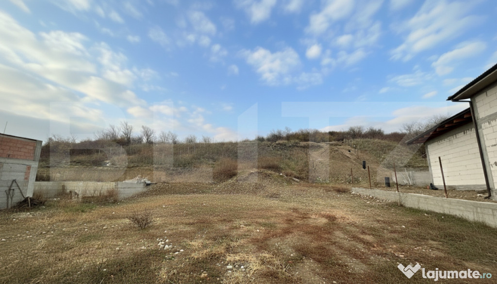 Teren cu o Panoramă Spectaculoasă, 1 Hectar, Podgoria