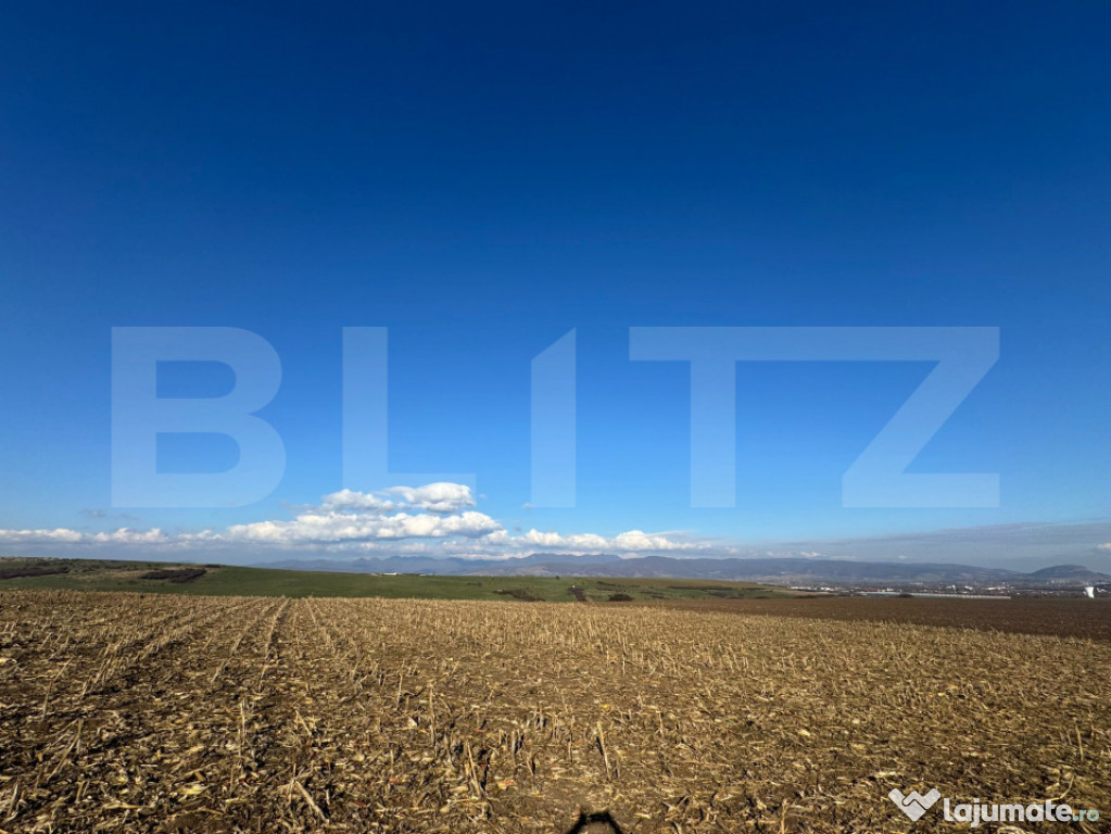 Teren extravilan agricol 5700 mp, Cristur