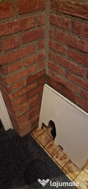 Suport biciclete Montblanc si Vw carrier.