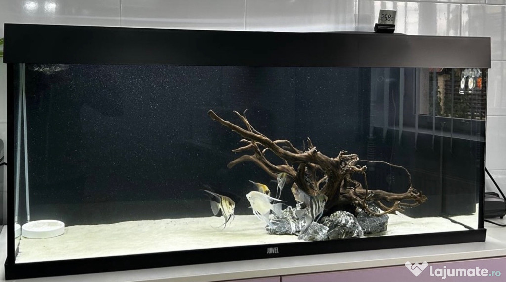 Acvariu Juwel Rio 240 litri