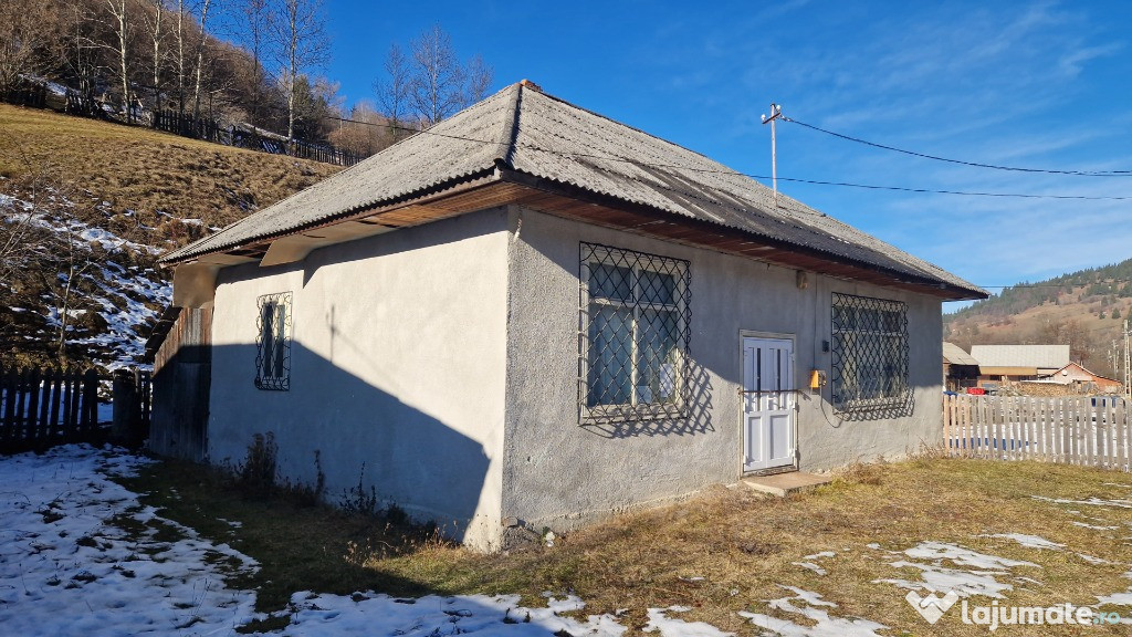 Constructie - imobil Damuc, Neamt