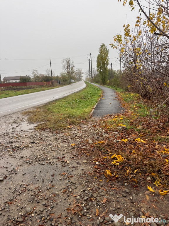 Teren 500 mp Buftea - Darza