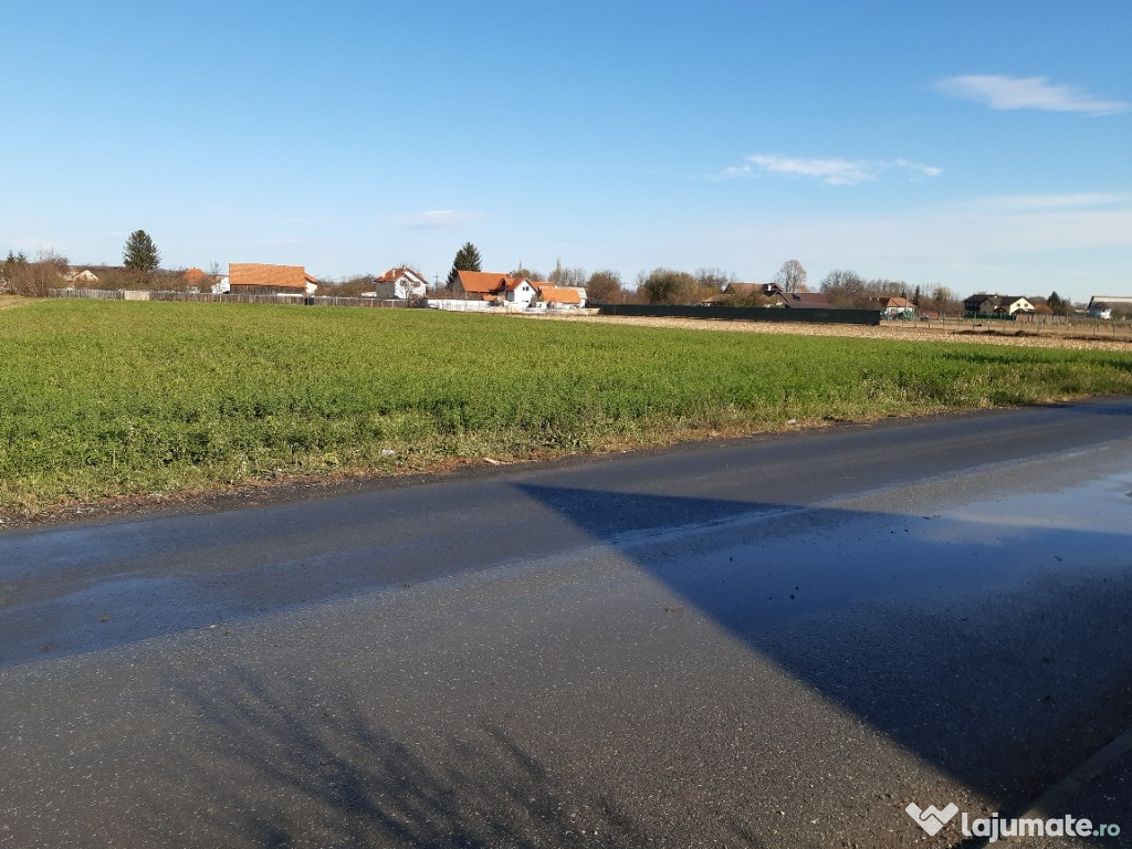 Vanzare 2 loturi teren intravilan construibil Lunca Calnicului