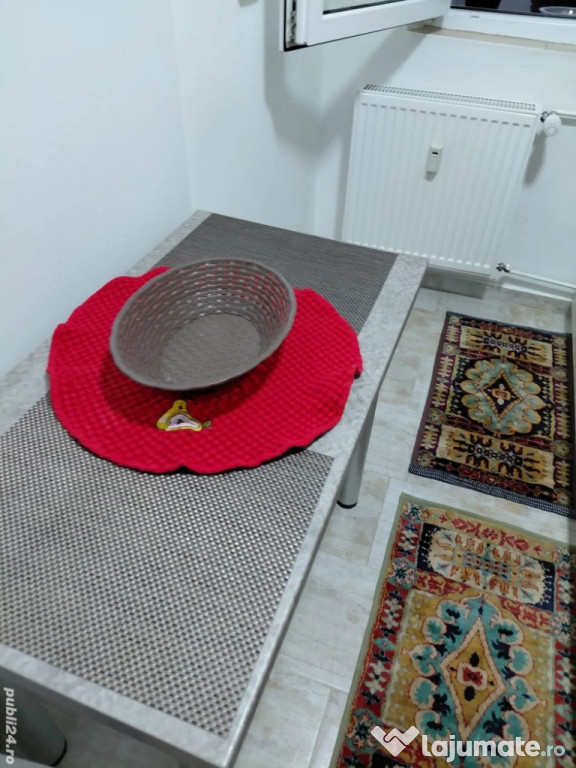 Baba novac dristor ion tuculescu