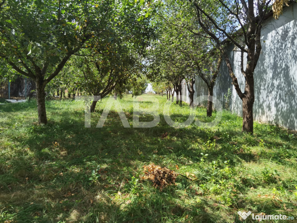 Teren intravilan de vanzare cu utilitati si puz in Poplaca