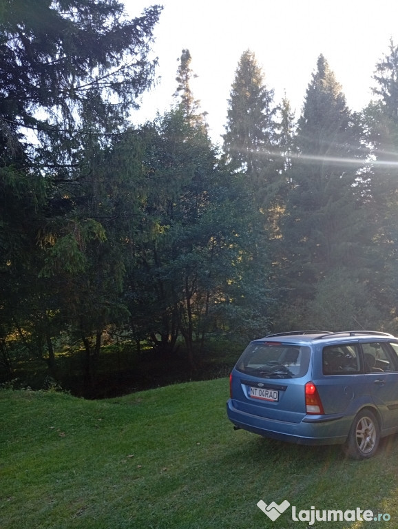 Ford focus 2002 benzina