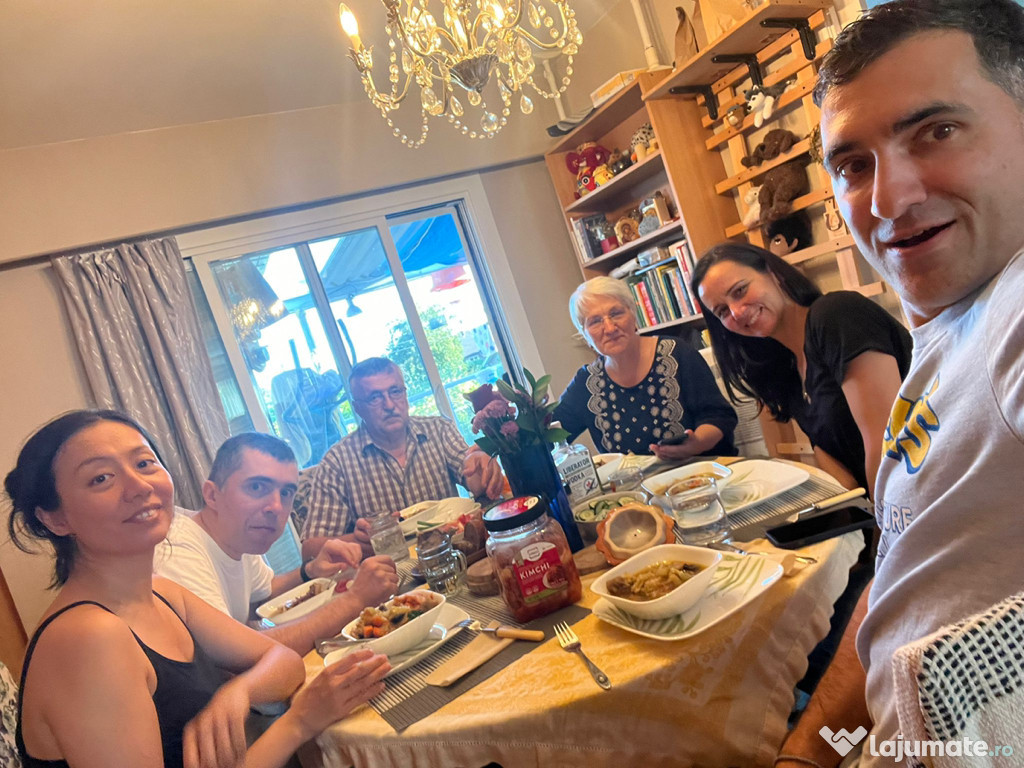 Bichon maltez mini toy