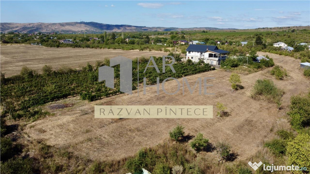 Pensiune 6 camere, teren 12713 mp, Dealul Mare, Urlati, Prah