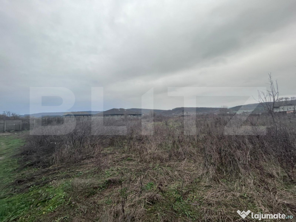 Teren extravilan de vanzare, 10.000 mp - Turcinesti
