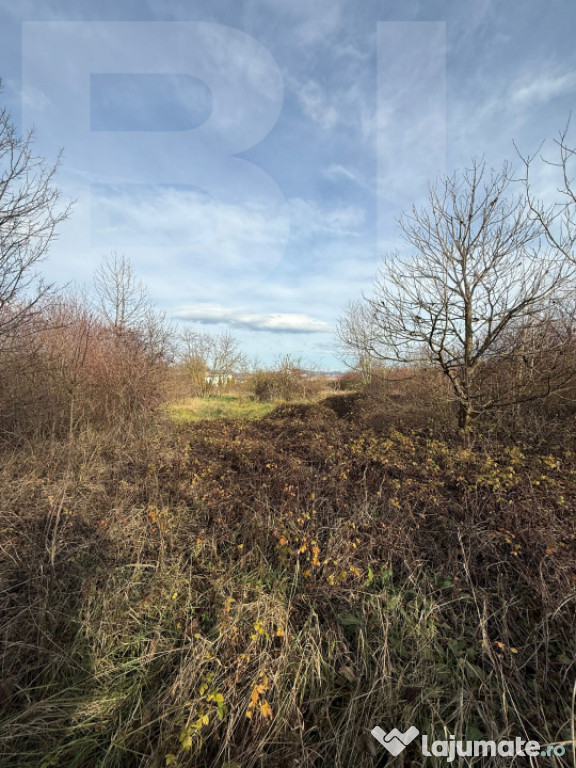 ???? Blitz vă propune spre vânzare – Teren 6.500 mp, Cal