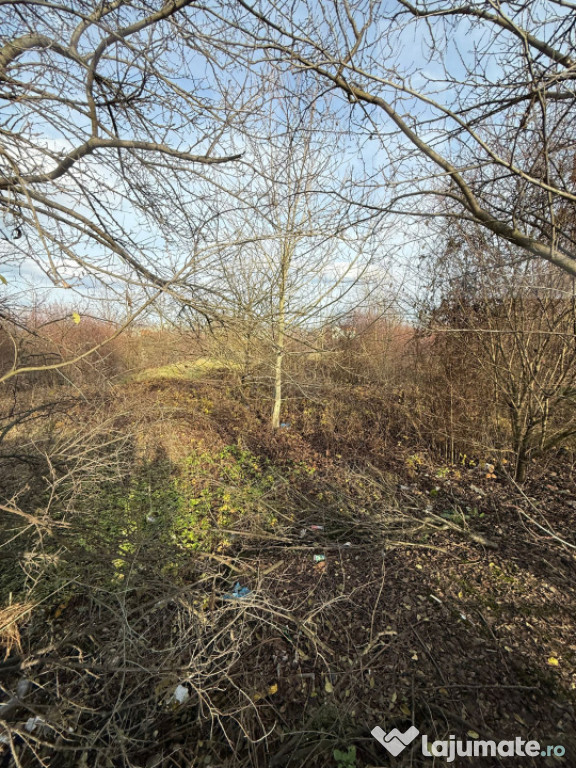 ???? Blitz oferă spre închiriere – Teren 6.500 mp, Calea