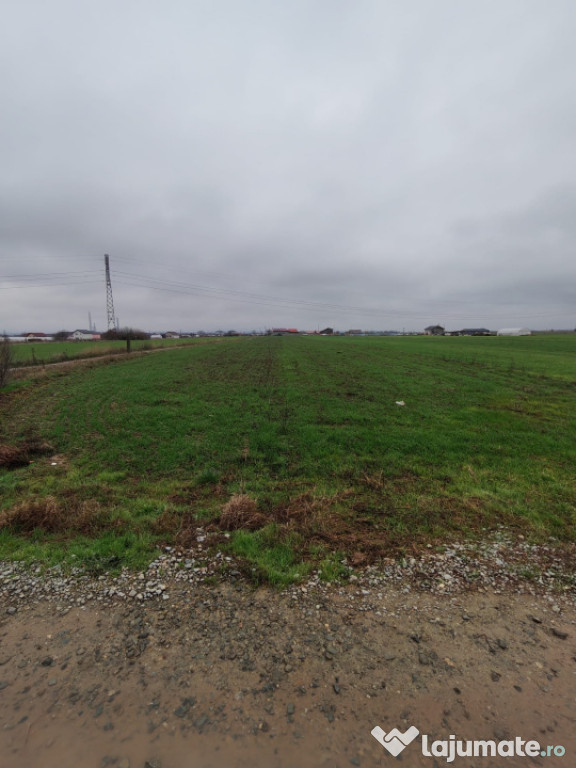 Teren Isanlita INTRAVILAN - 3266 MP - Ideal pentru investiti