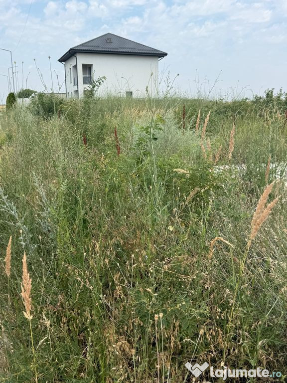 TEREN VIDRA BERCENI 307 MP