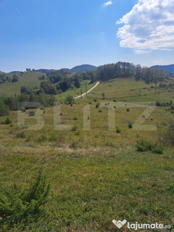 Teren extravilan 4.604 mp cu curent – ideal pentru cabană