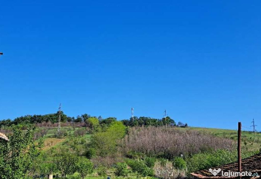 Cota de 1/2 din teren extravilan, comuna Rogova, Jud Mehe...
