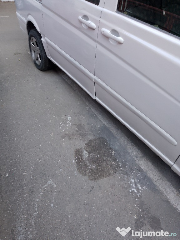 Mercedes Benz Microbuz