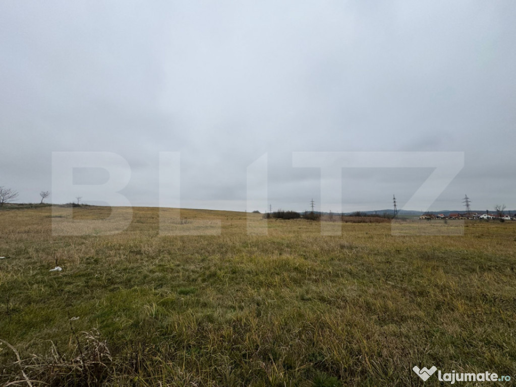 Teren intravilan in Pricaz 4416 mp