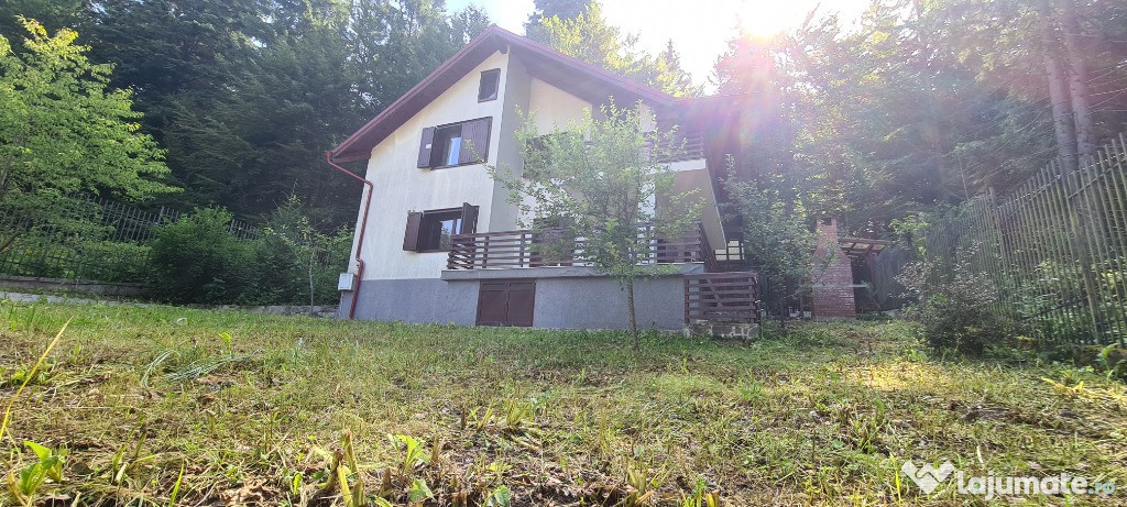 Vila Predeal New 2025