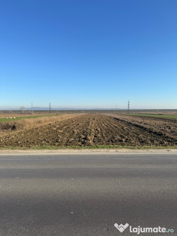 Teren 5000 mp, Valea Mare, Băbeni DN64