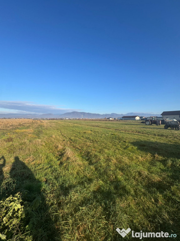 Teren de vânzare – Mocira, jud. Maramureș 18 ari