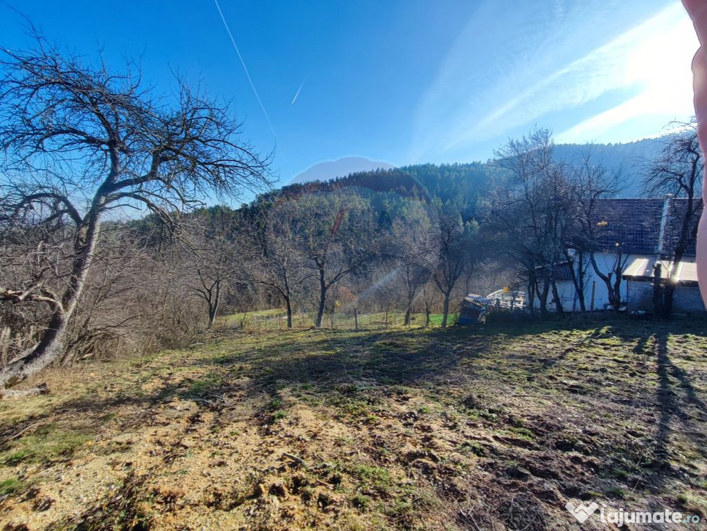 Teren intravilan de vânzare – Vale (Saliste), județul...