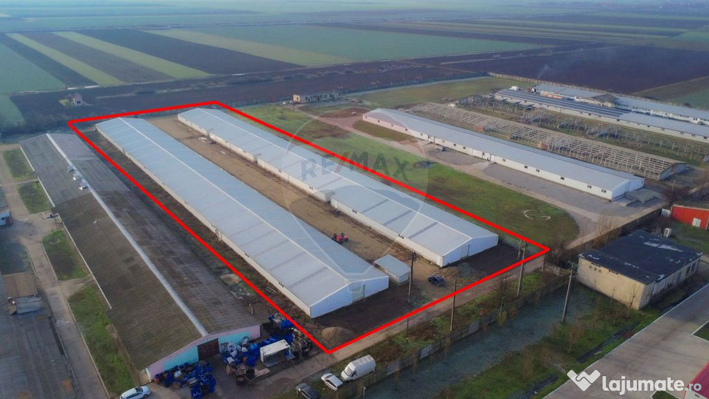 De vânzare – 2 hale industriale, 5.050 mp utili, Palota