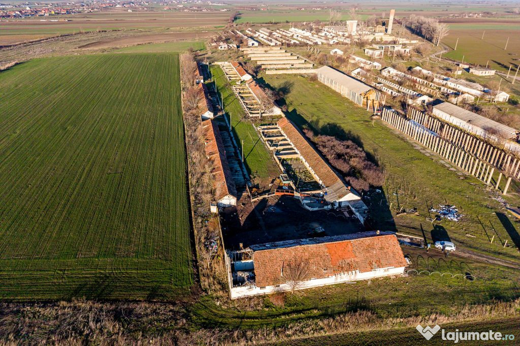 Ferma 11.5 HA lângă DN7 & Autostrada E68 – Nădlac | ...
