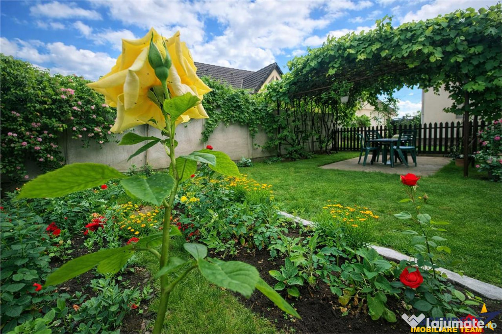 Poveste saseasca la umbra vitei de vie, cu crama si gradina