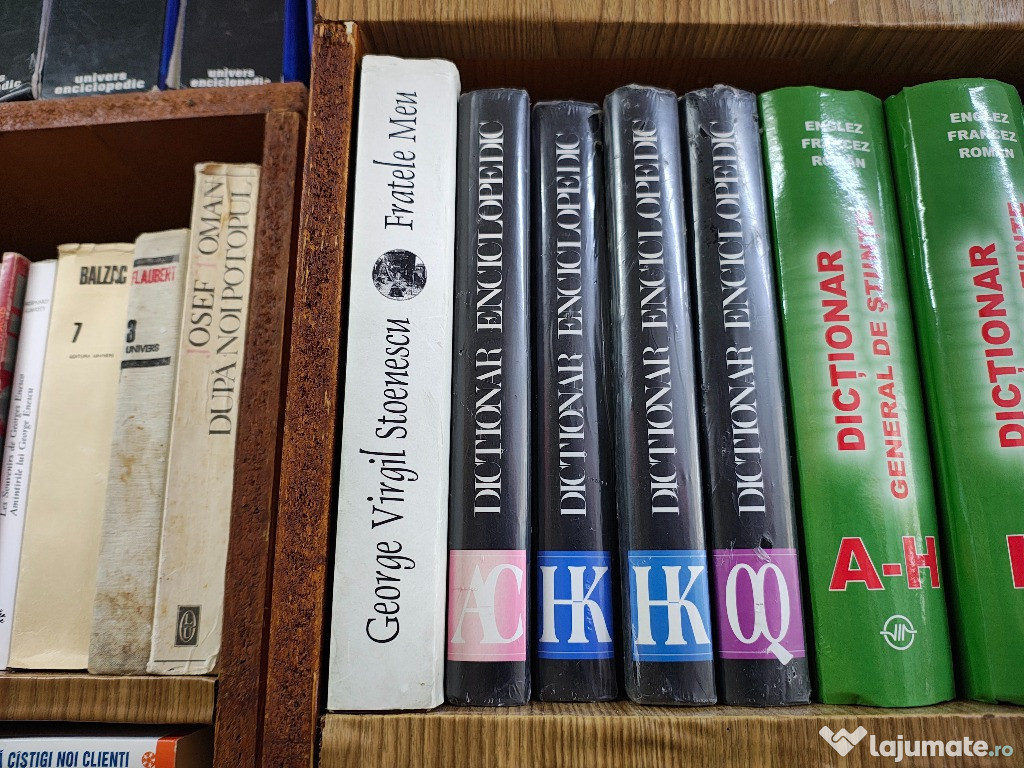 Dictionar eniclopedic diverse volume