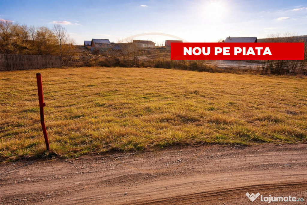 Teren 1262 m2 intravilan Smeura Stoenari