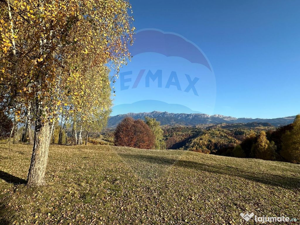 Oportunitate de investiţie ! Teren de vis în Pestera - ...