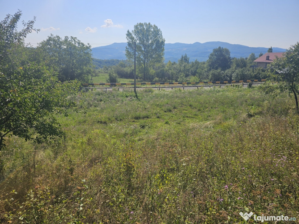 Vând loturi intravilane!