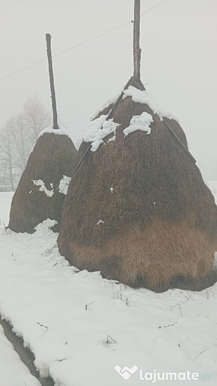Vând 2 clăi de fân pentru detali sunati la numarul de telefon