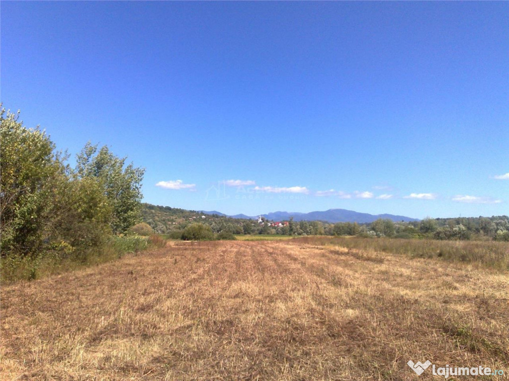 Teren intravilan 55 Ari Sacalaseni strada principala