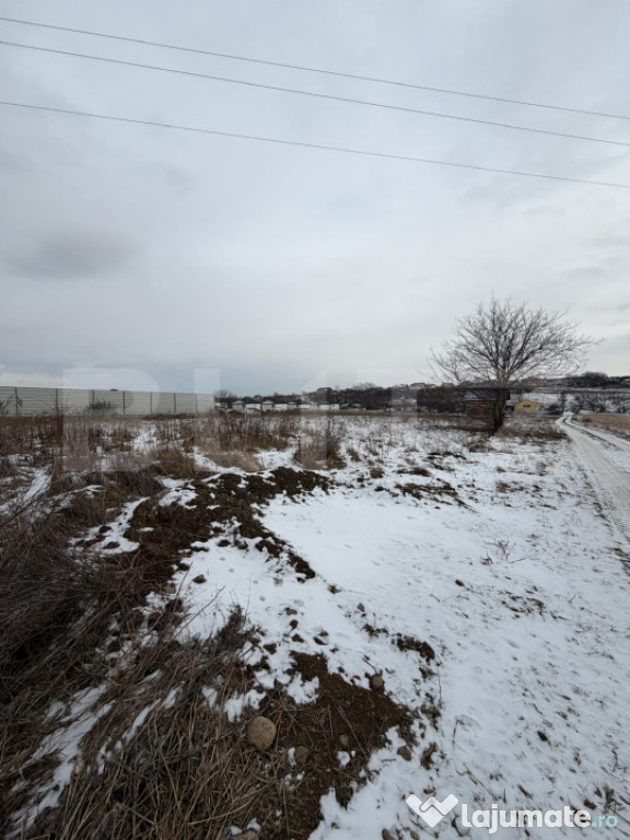 Teren intravilan, 1200 mp, posibilitate de parcelare Lisaura