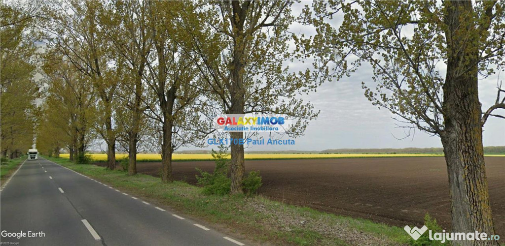 Teren la Drumul Judetean Dascalu Gagu 17800 mp intravilan