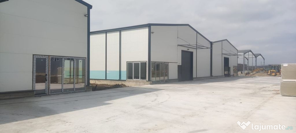 2 hale noi 2025 Afumati- Moara Domneasca