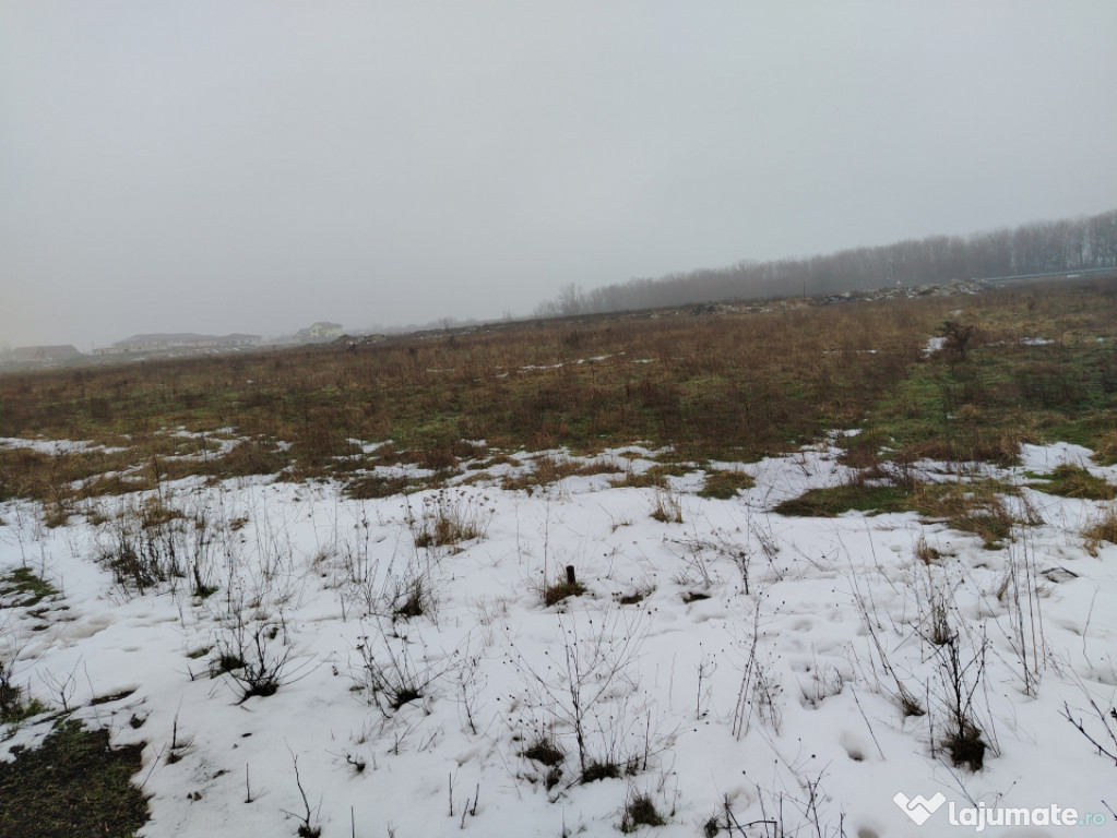 Teren 1000 mp, Cârcea, front 11,57m