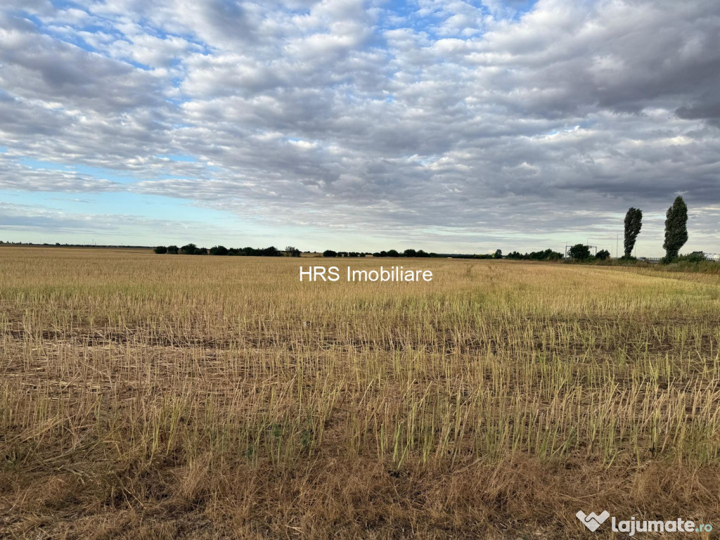 Teren intravilan Branesti